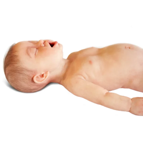 Fantom niemowlęcia Lifecast Infant