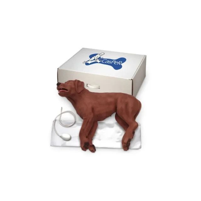 Fantom psa do nauki RKO CASPER