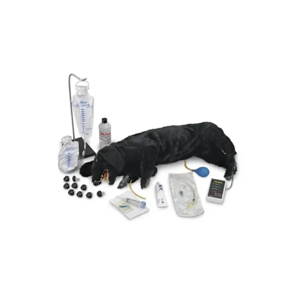 Model psa Advanced Sanitary CPR Dog