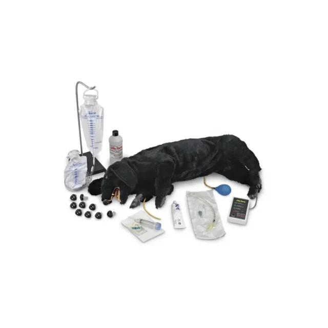 Model psa Advanced Sanitary CPR Dog