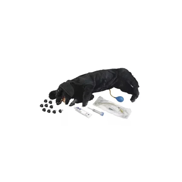 Model psa Basic Sanitary CPR Dog